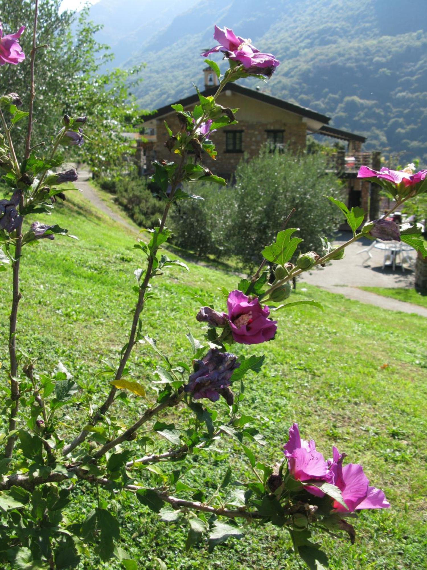 Chalet Della Rota Marone Exteriör bild